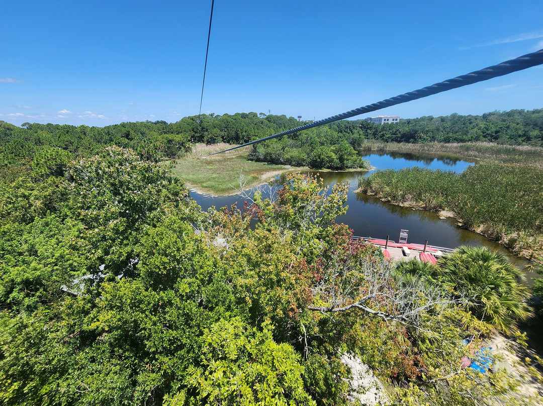 Treetop Trek景点图片