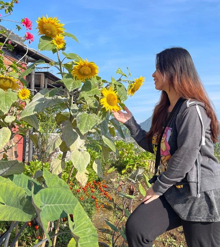 Sunsetfalls Gardens and Resort主图