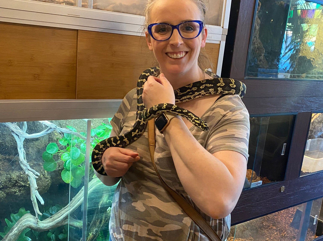 Clint's Reptile Room