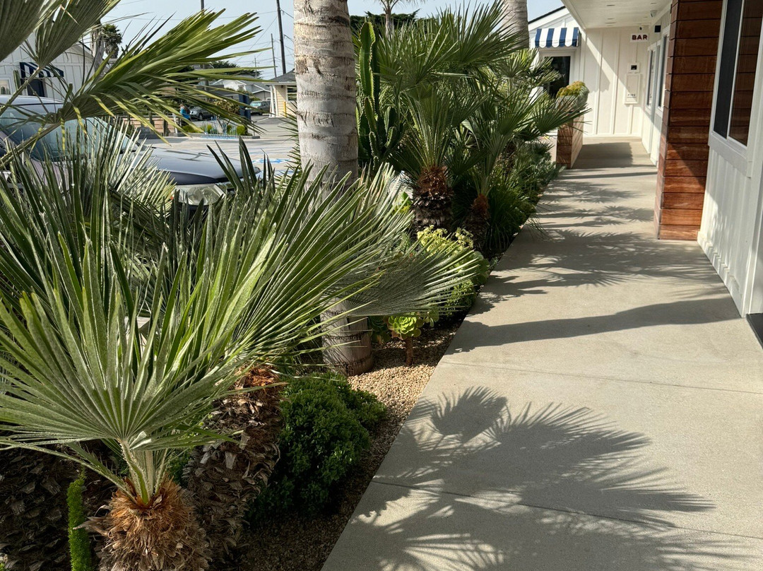 The Pacific Motel主图