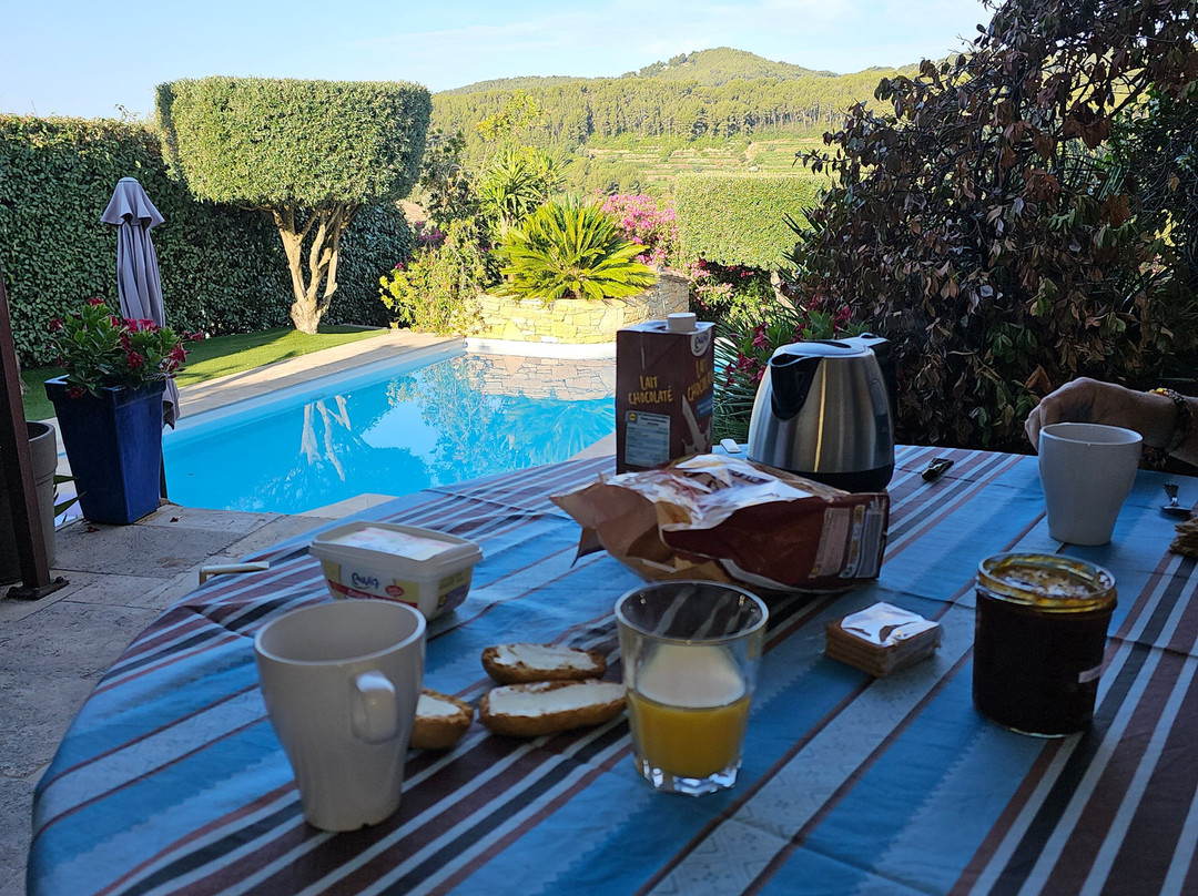 La Cigale sous l'Olivier主图