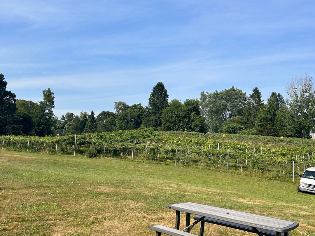 Bastiani's Blueberry Farm-Hebron必去景点