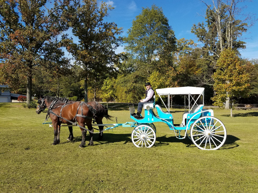 Water Wheel Carriages