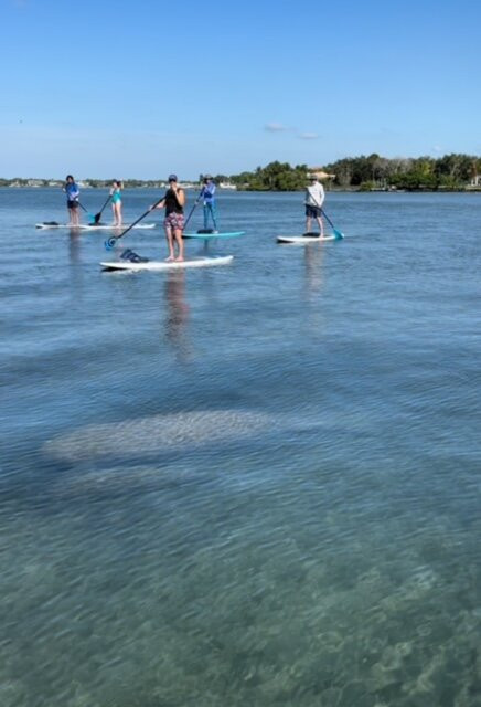 South Florida Paddle-North Palm Beach必去景点