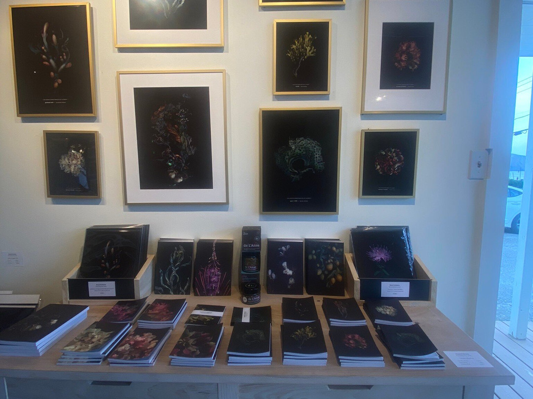 Galerie Mylene Henry景点图片
