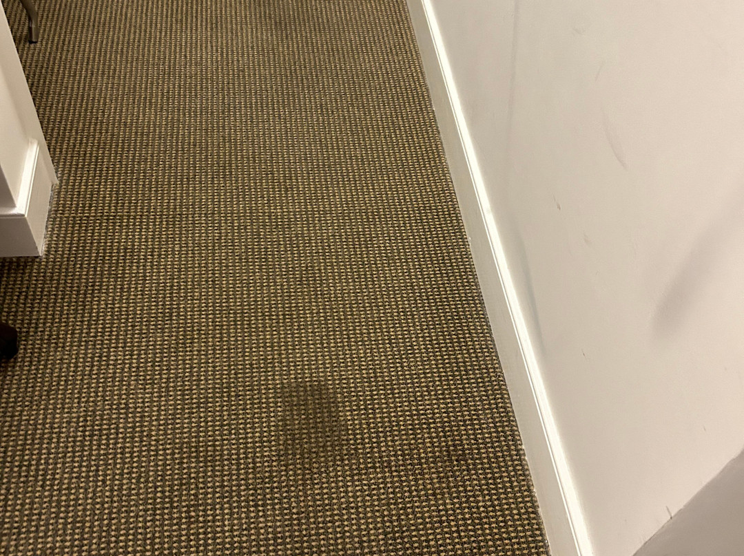 莫法特酒店主图