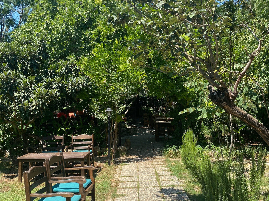 Piramit Butik Otel Kayakoy主图
