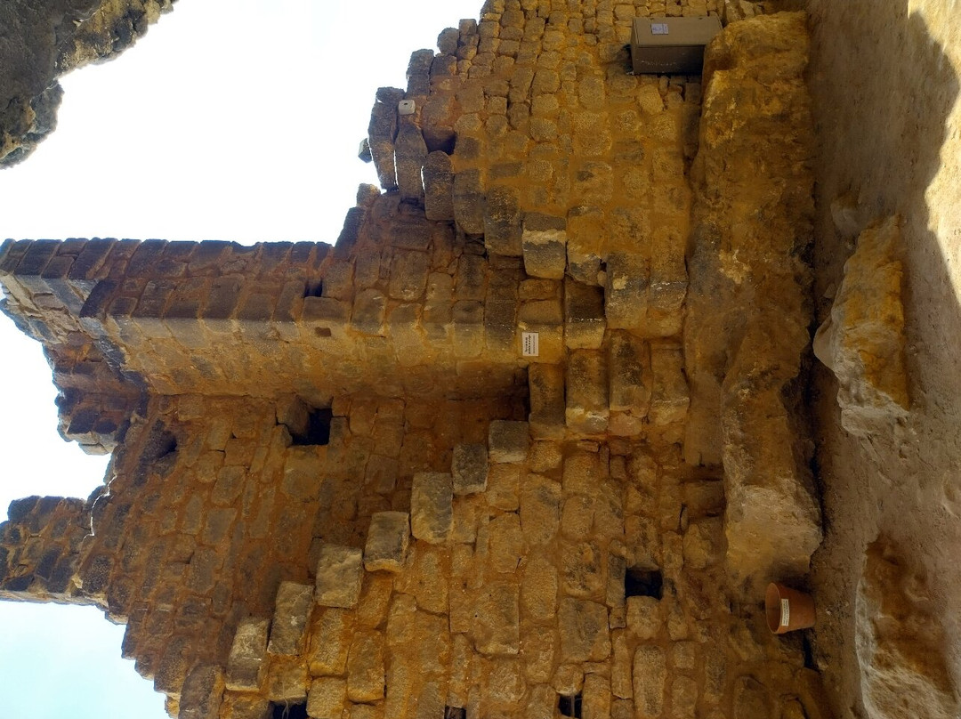 Le Fort de La Roque-Gageac景点图片