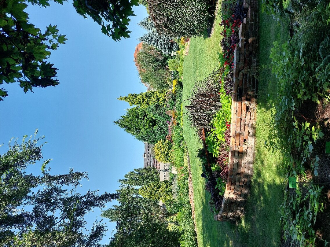 Botanical Garden of the University of Wrocław景点图片