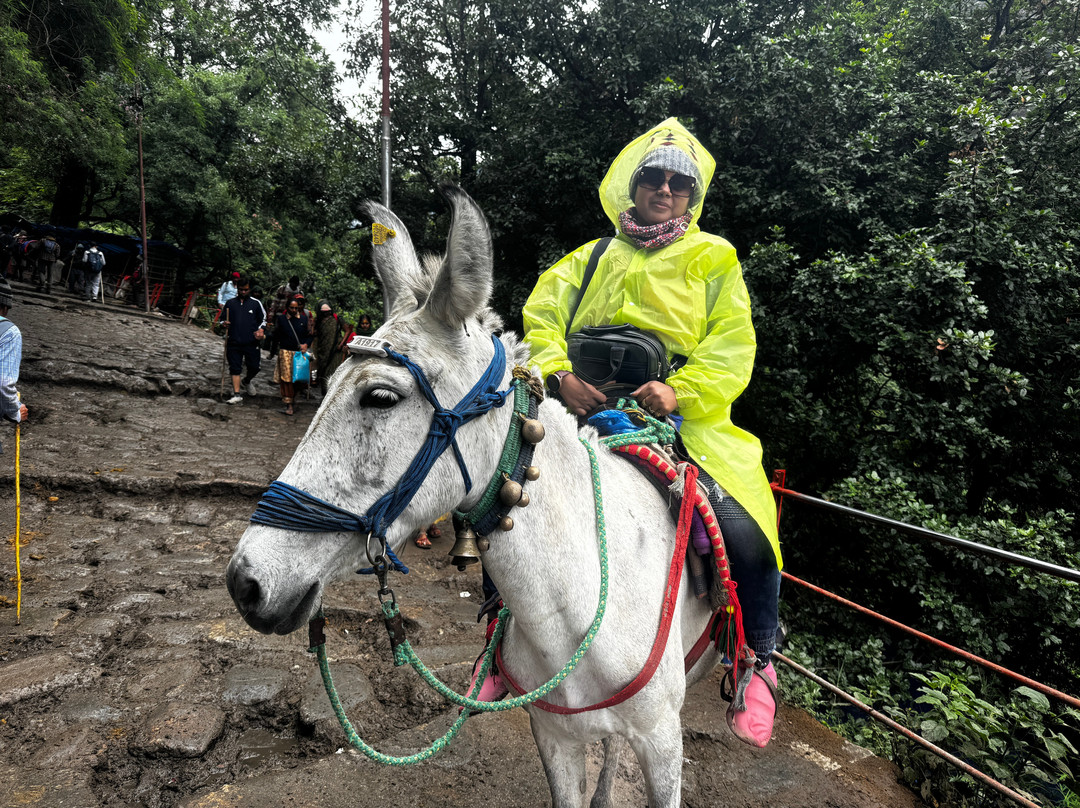 Uttarakhand Trips (Unit of BBY - Bharat Bhakti Yatra)景点图片