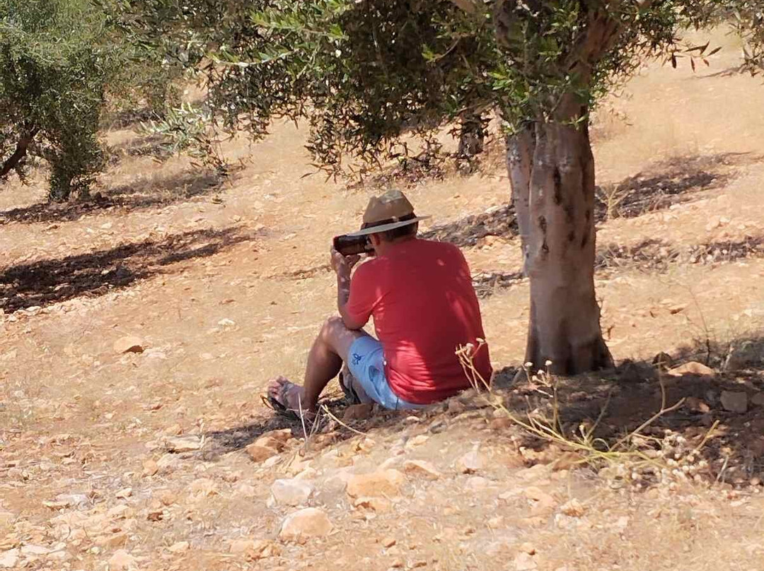 Ktíma Kotsífi-Amari必去景点