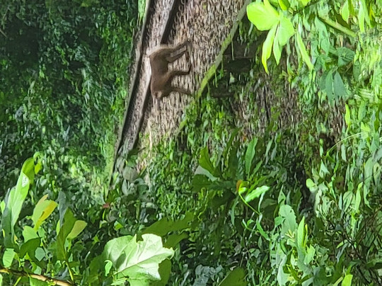 Pathfriend Tour Operator-达卡市必去景点