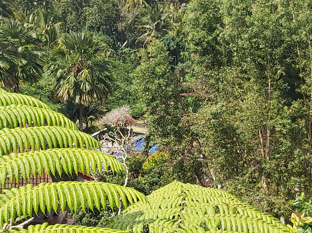 可不内别墅主图