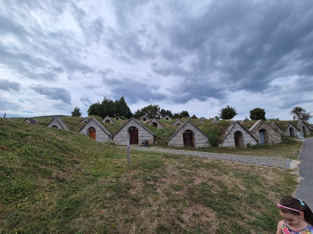 Gotz Winery景点图片