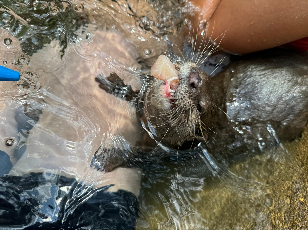Oak Meadow Ranch-Valley View必去景点