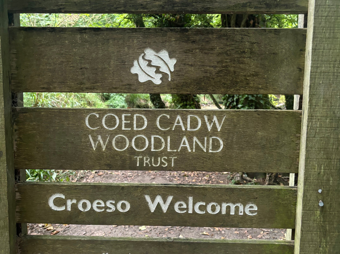 Nant Mill Country Park景点图片