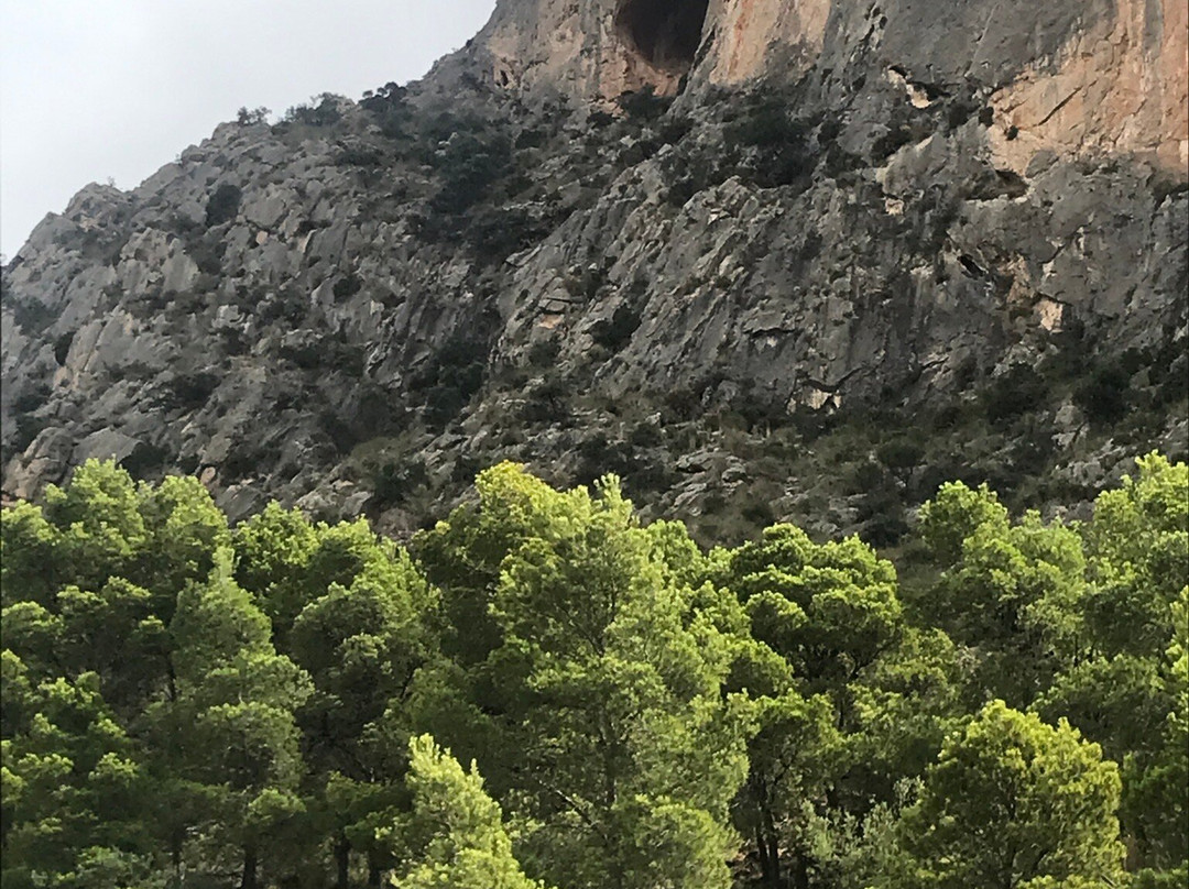 Cueva Del Canelobre景点图片