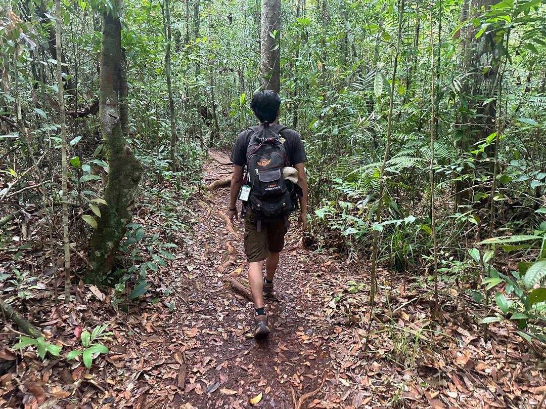 Tanjung Puting National Park-Pangkalan Bun必去景点