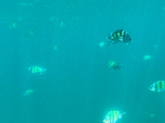 K K Boat Tours-尼拉瓦利必去景点