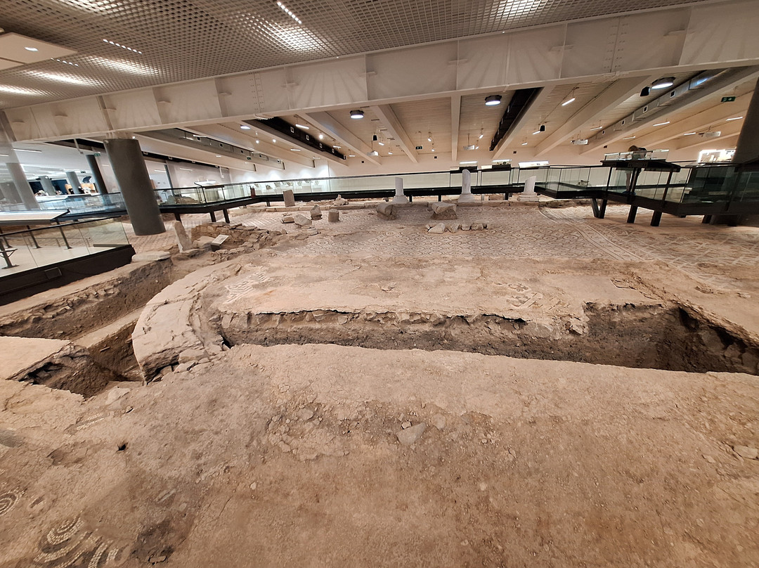 The Bishop's Basilica Of Philippopolis