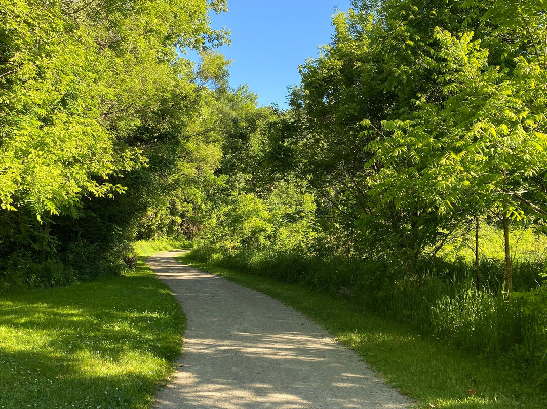 Wildwood Metropark-托莱多必去景点