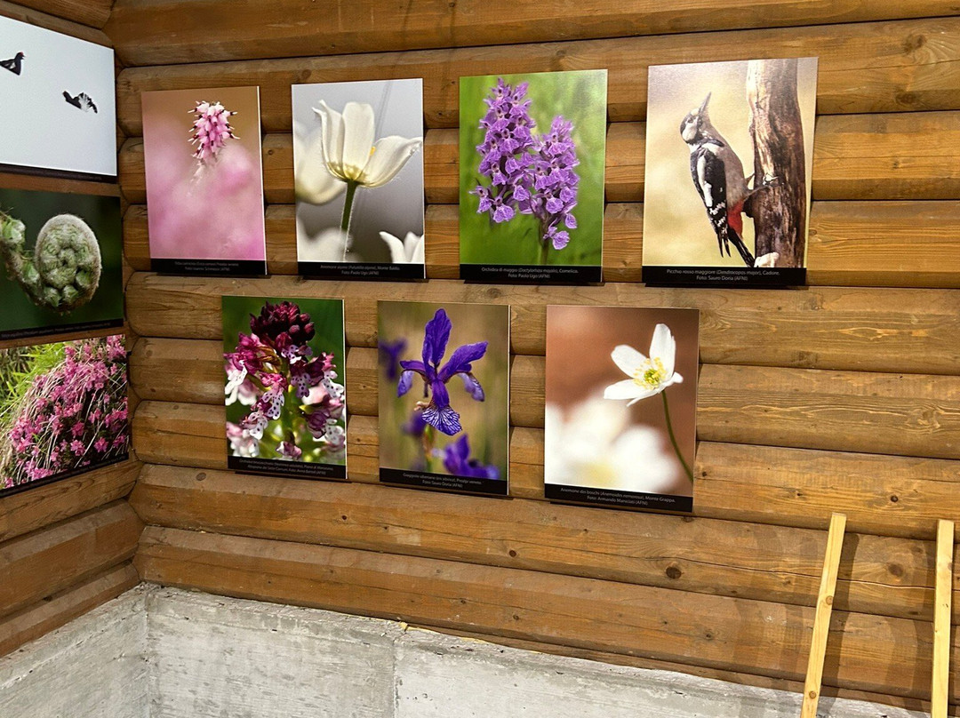 Museo Ecologico G. Zanardo-Tambre必去景点