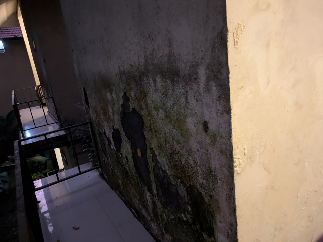 布和丝娃度假村主图