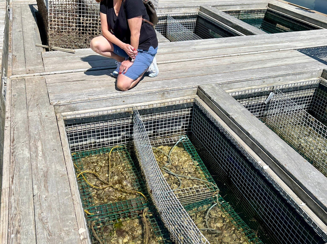 Glidden Point Oyster Farms景点图片