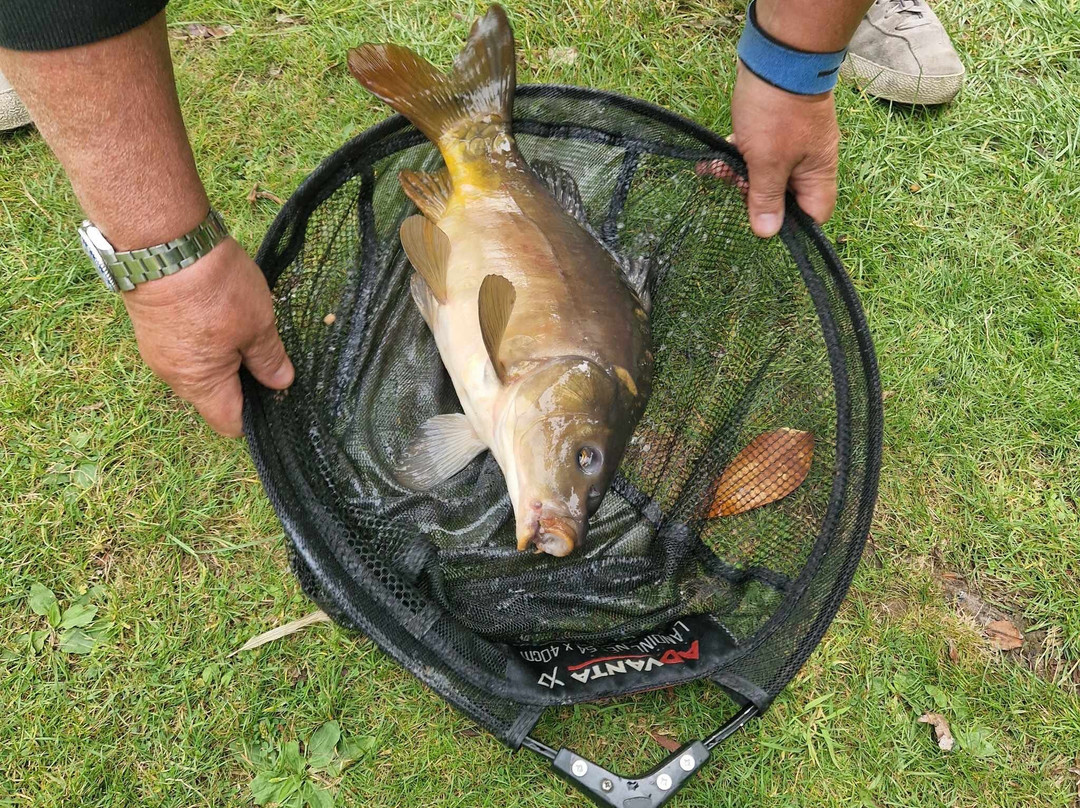 Lloyds Meadow Fishery-切斯特必去景点