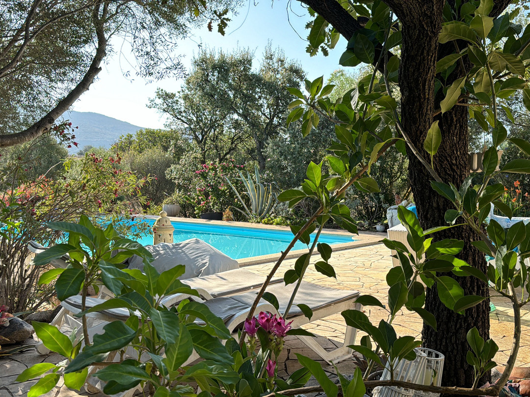 B&B Villa Desideria主图