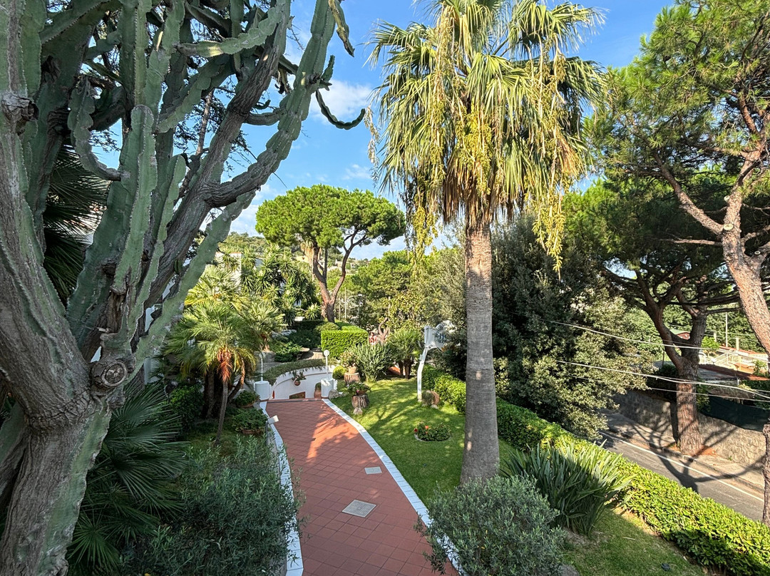 Poggio Aragosta Hotel & Spa主图