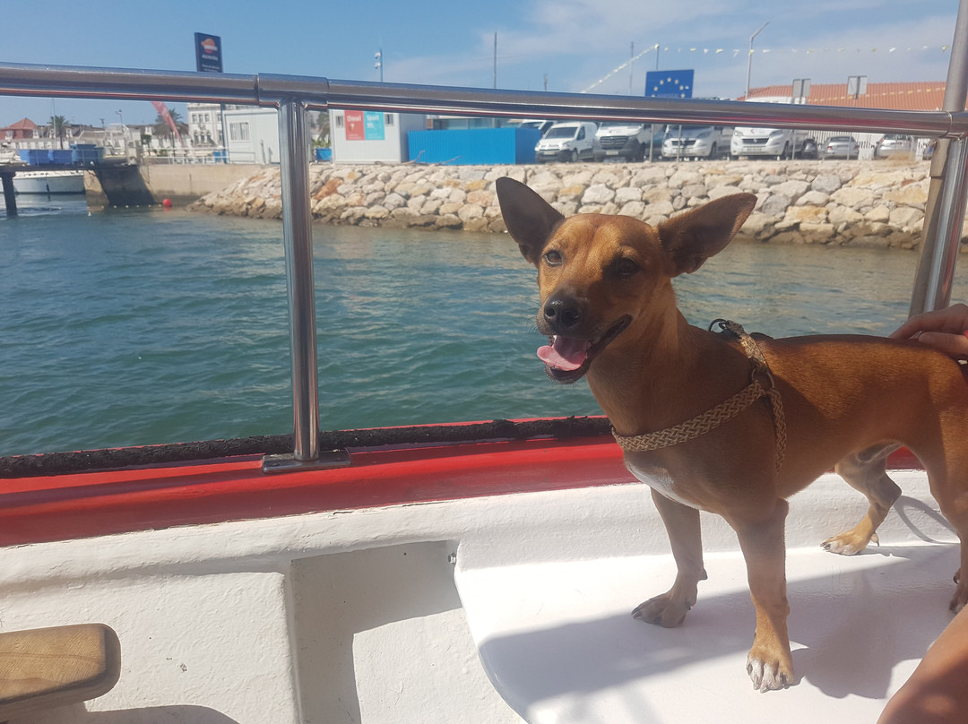 Transporte Fluvial Del Guadiana景点图片
