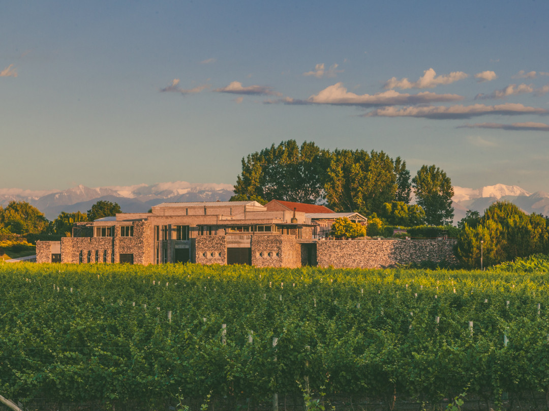 Bodega Enzo Bianchi-Tunuyan必去景点