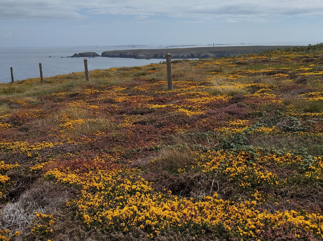 Ouessant Evasion-Ouessant必去景点