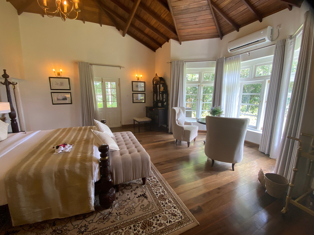 The Lavender House By Reveal主图