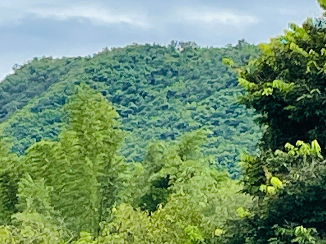 娜娜水疗中心和度假村主图