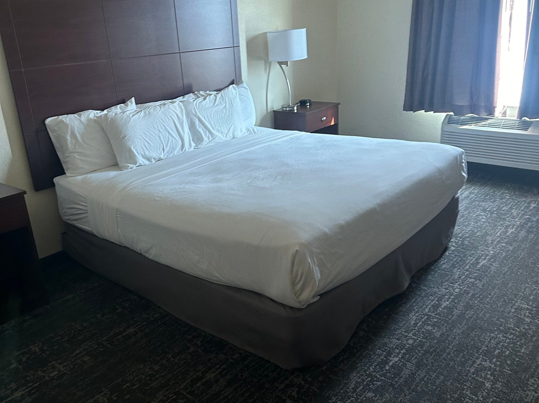 Cobblestone Inn & Suites - Pine Bluffs主图