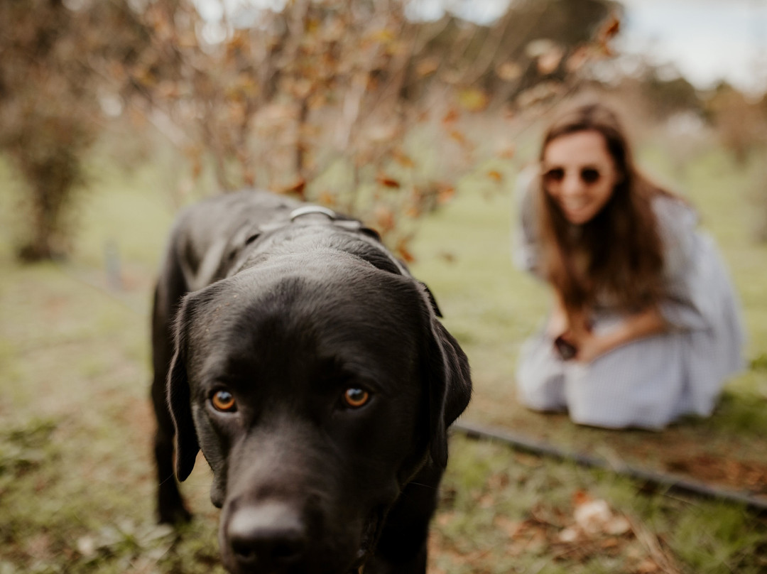 The Margaret River Truffle Farm景点图片