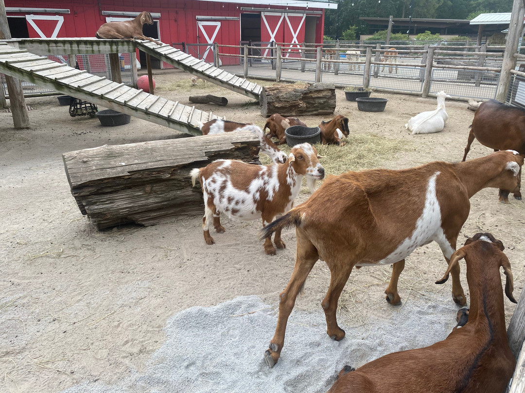 Potawatomi Zoo-南本德必去景点