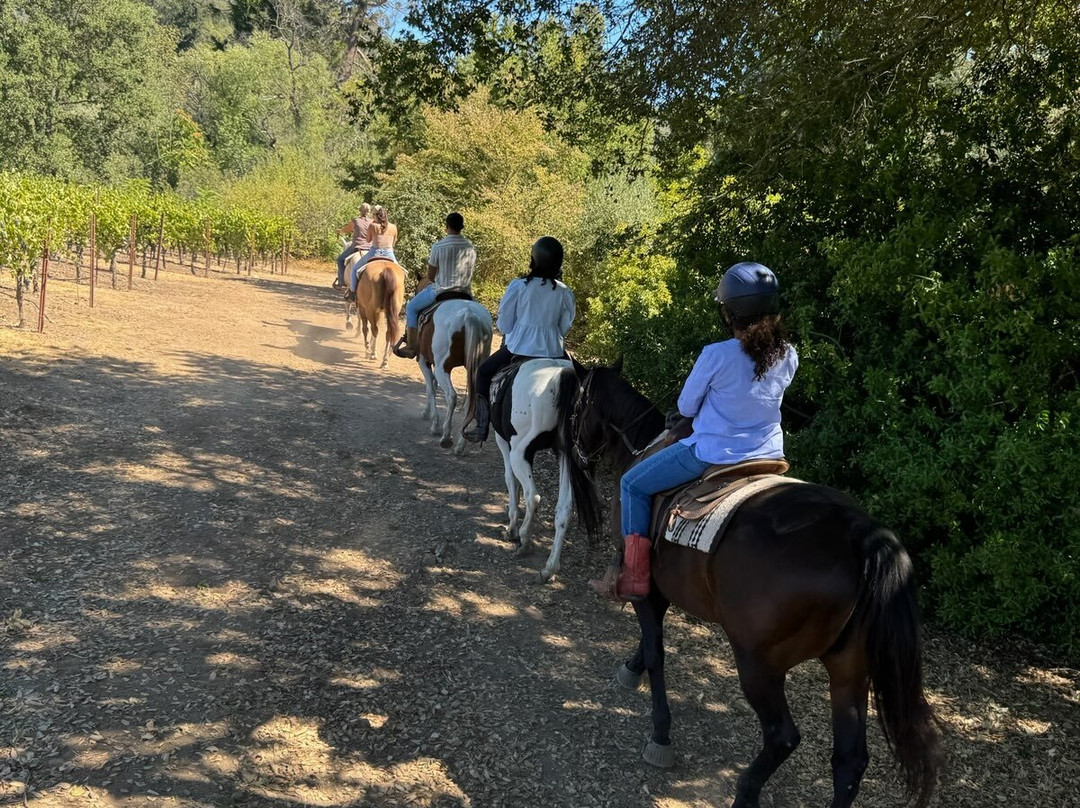 Sonoma Valley Trail Rides景点图片