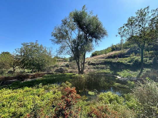 Musina Roman Water Catchment-Musina必去景点