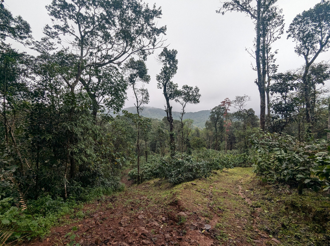 Misty Mountains Homestay主图