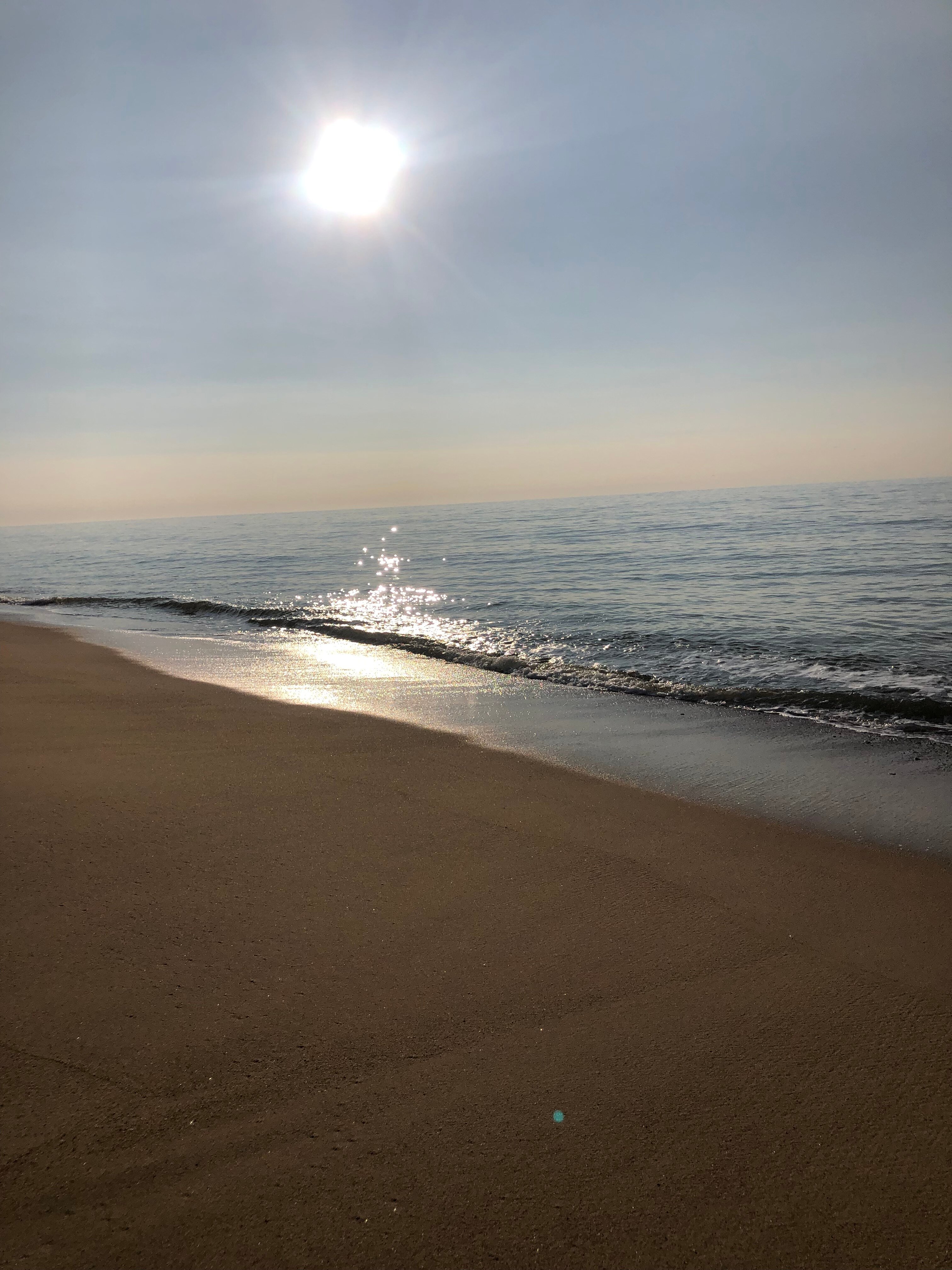 Montauk Blue Hotel-官方