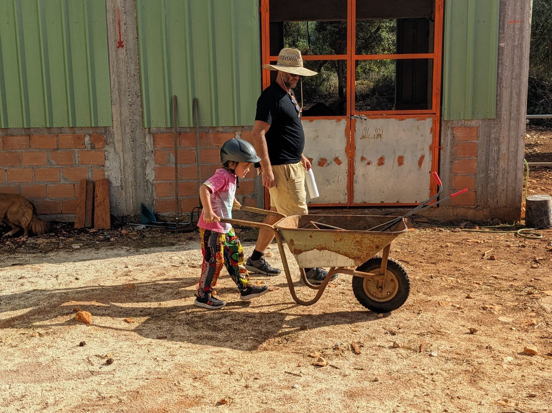 Donkey Trekking Kefalonia-萨米必去景点