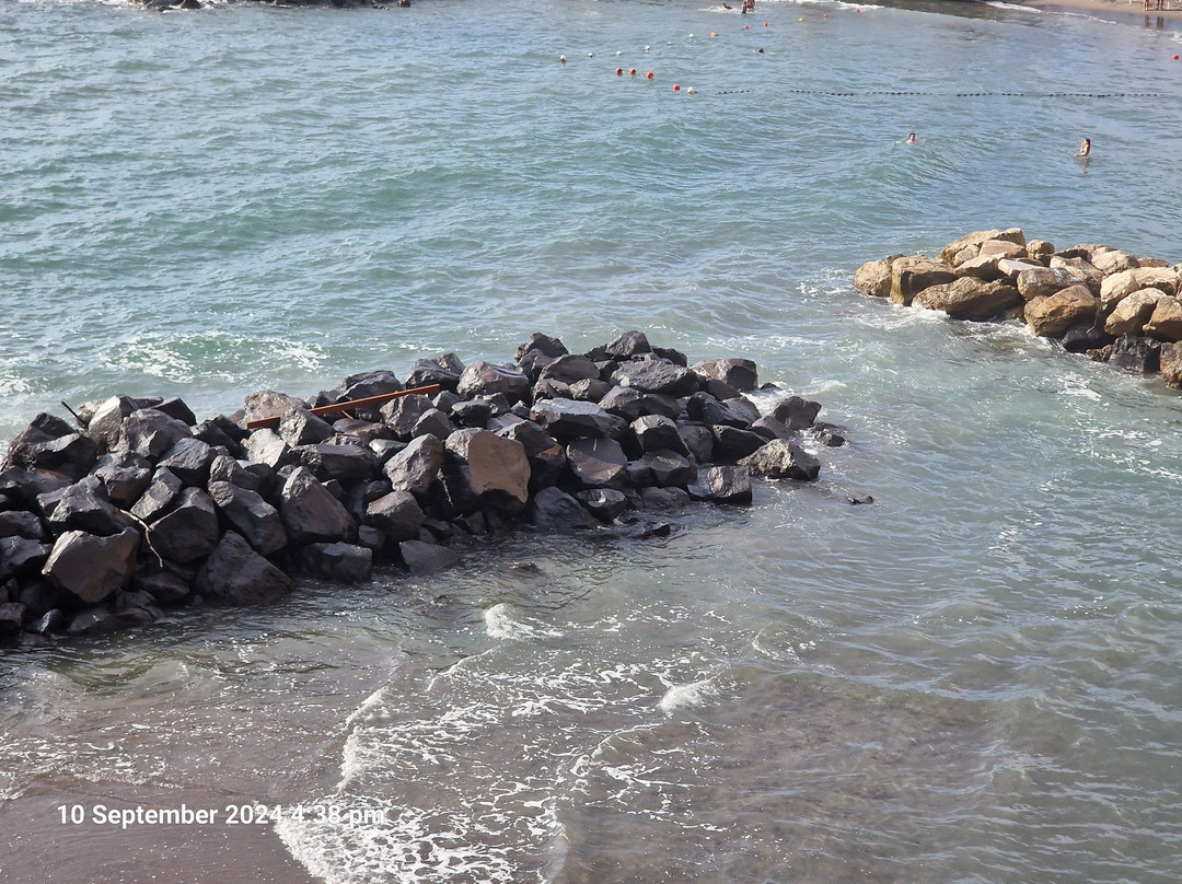 Playa de Meta景点图片