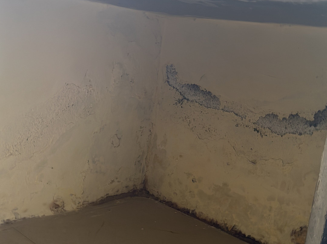 Vinyasa Treeland Saphale主图