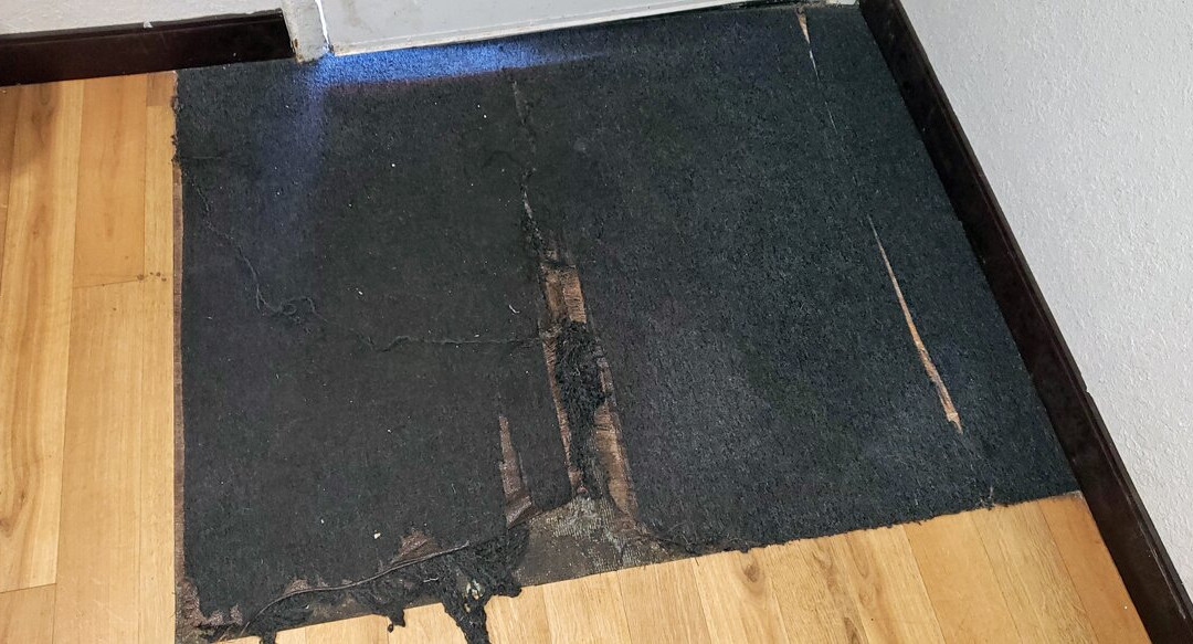 Red Roof Inn Grand Rapids Airport主图