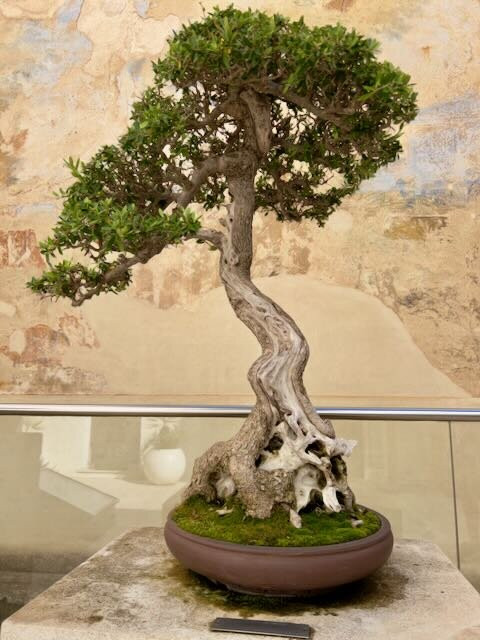 Centre D'art I D'historia Hernandez Sanz-Mahon必去景点