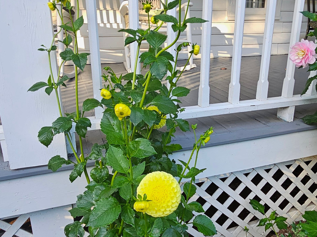 Lovill House Inn主图