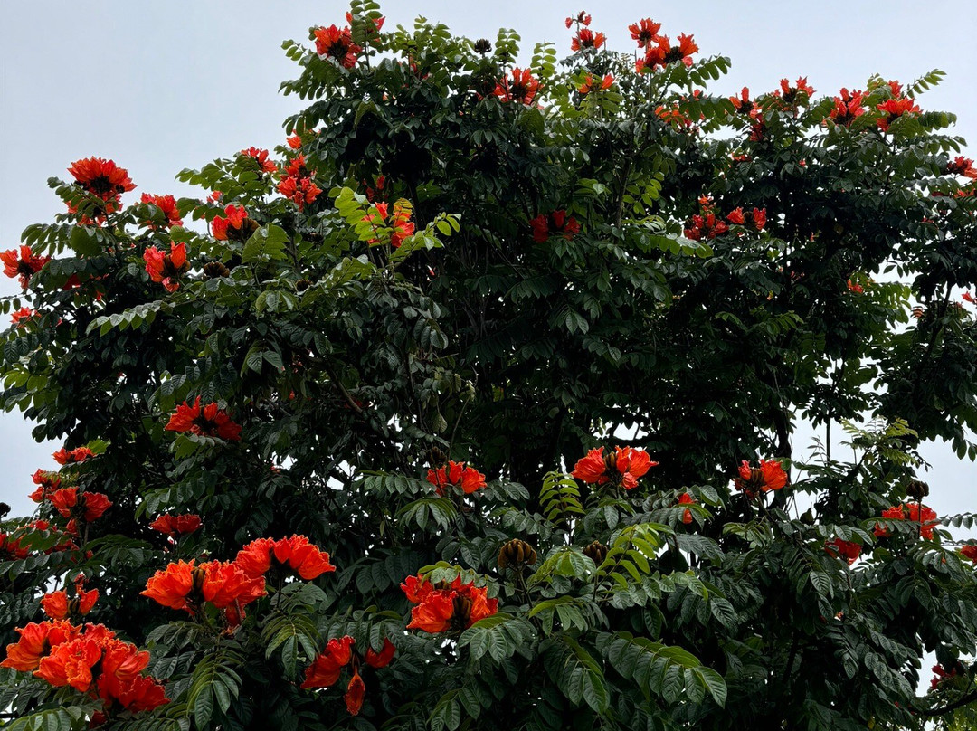 HC Hacienda Catrina Hotel Boutique主图